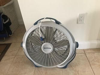 Fan