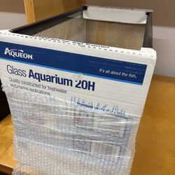 Glass Aquarium 