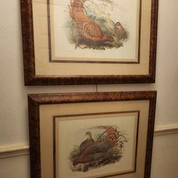 Bird Print / Illustrations (Pheasant)