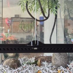 Exo Terra Terrarium