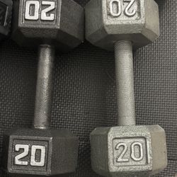20 Pound Dumbbells 