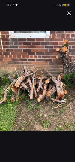 FIREWOOD.     Free.