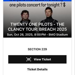 Twenty One Pilots Concert Ticket