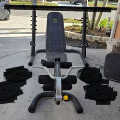Gold's Gym Weight Bench and Barbell Holder/Support