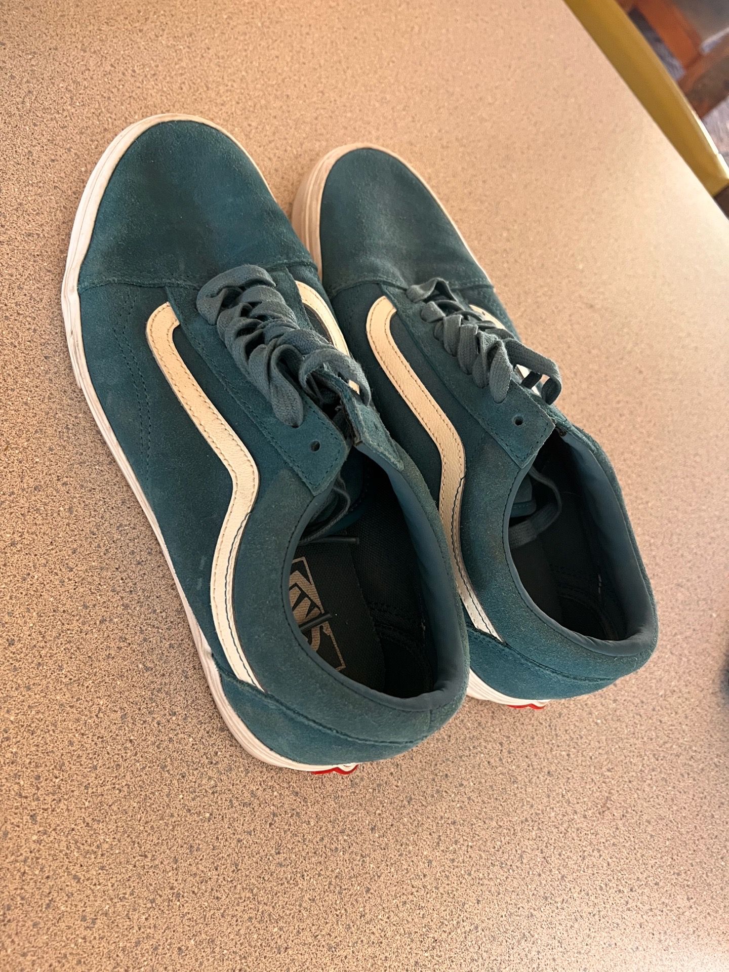 Vans Shoes Men’s Size 9