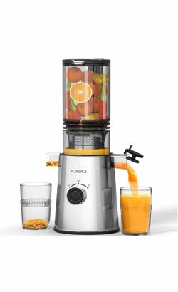 Cold Press Juicer, Masticating Juicer with Large Feed Chute Fit Whole Fruits & Vegetables, Stainless Steel Slow Masticating Juicer Easy to Clean, 99.6