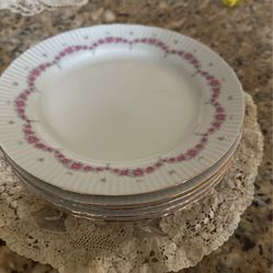 Porcelain Lunch Plates - Made In Germany 🇩🇪  (5)  Lunch Plates 