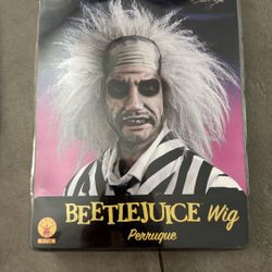 Costume: Beetlejuice Wig Adult