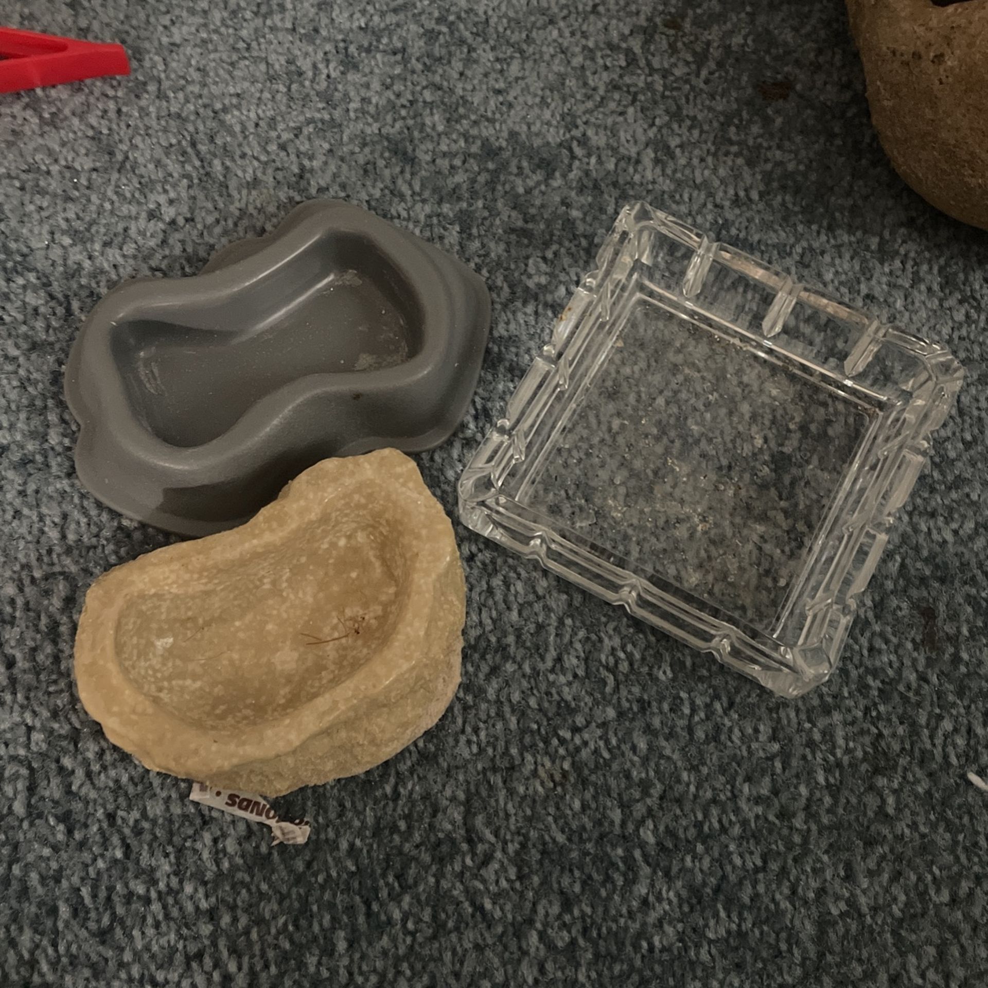 Water / Food Bowls For Reptile 