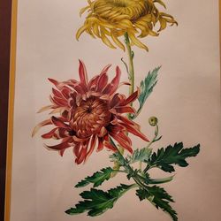 Framed Mureen Baker Floral Paintings (Set of 2)