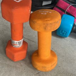 8lb Weights 