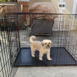 Dog Crate Large