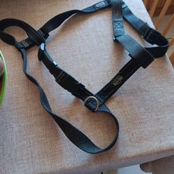 Rogs For Dogs Xl Harness