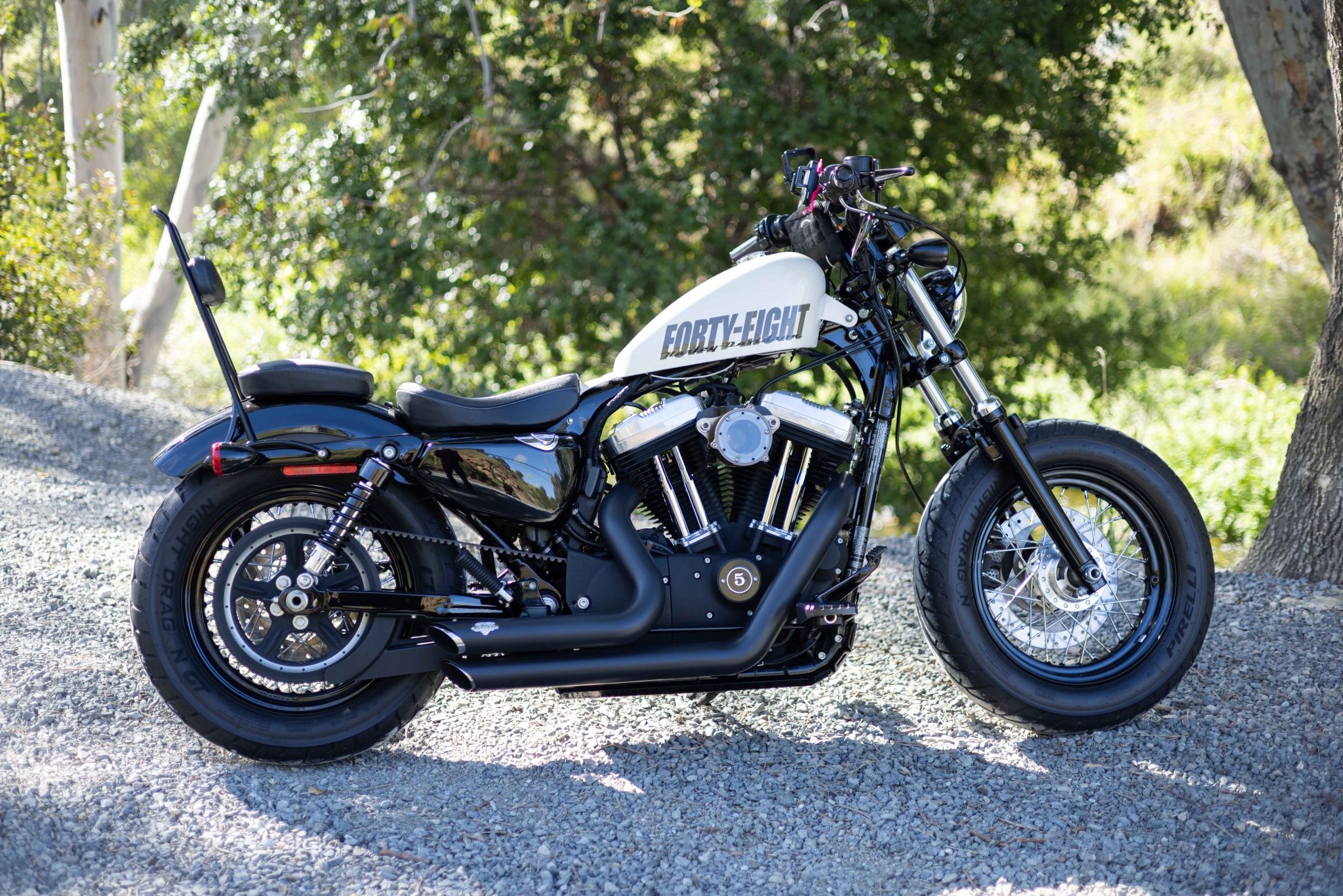 2014 Harley Davidson Sportster, 48