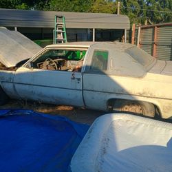 79 Caddi