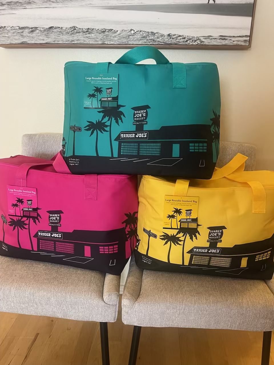 Trader Joe’s 8 Gallon Large Reusable Insulated Bag