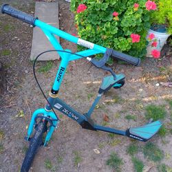 Razor DeltaWing Scooter