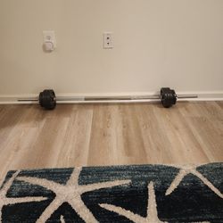 Weighted Barbell W Weights