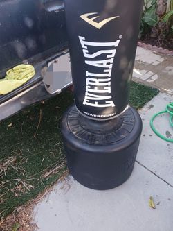Everlast Punching Bag Power Core Price Is Not Firm
