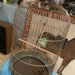 Bird Cage