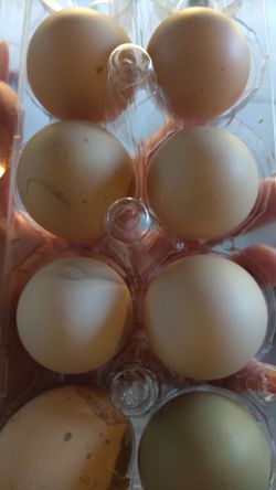 Ranch Eggs