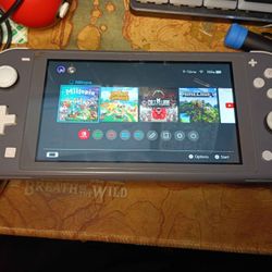 Damaged Nintendo Switch Lite