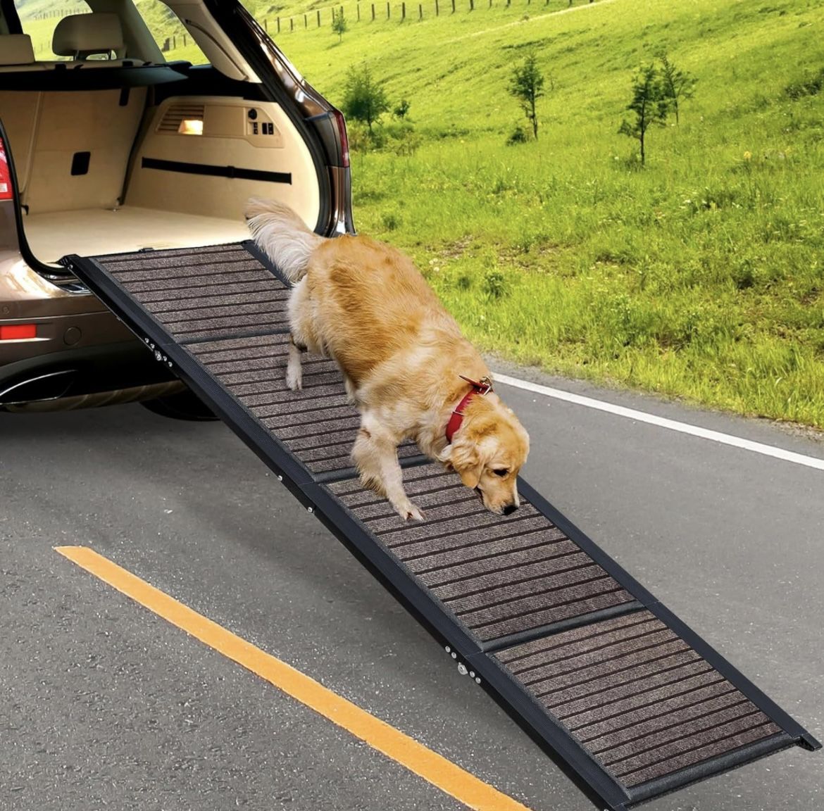 Dog Ramp