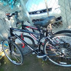 West Wood Racing Bike