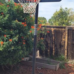 Basketball hoop in good shape
