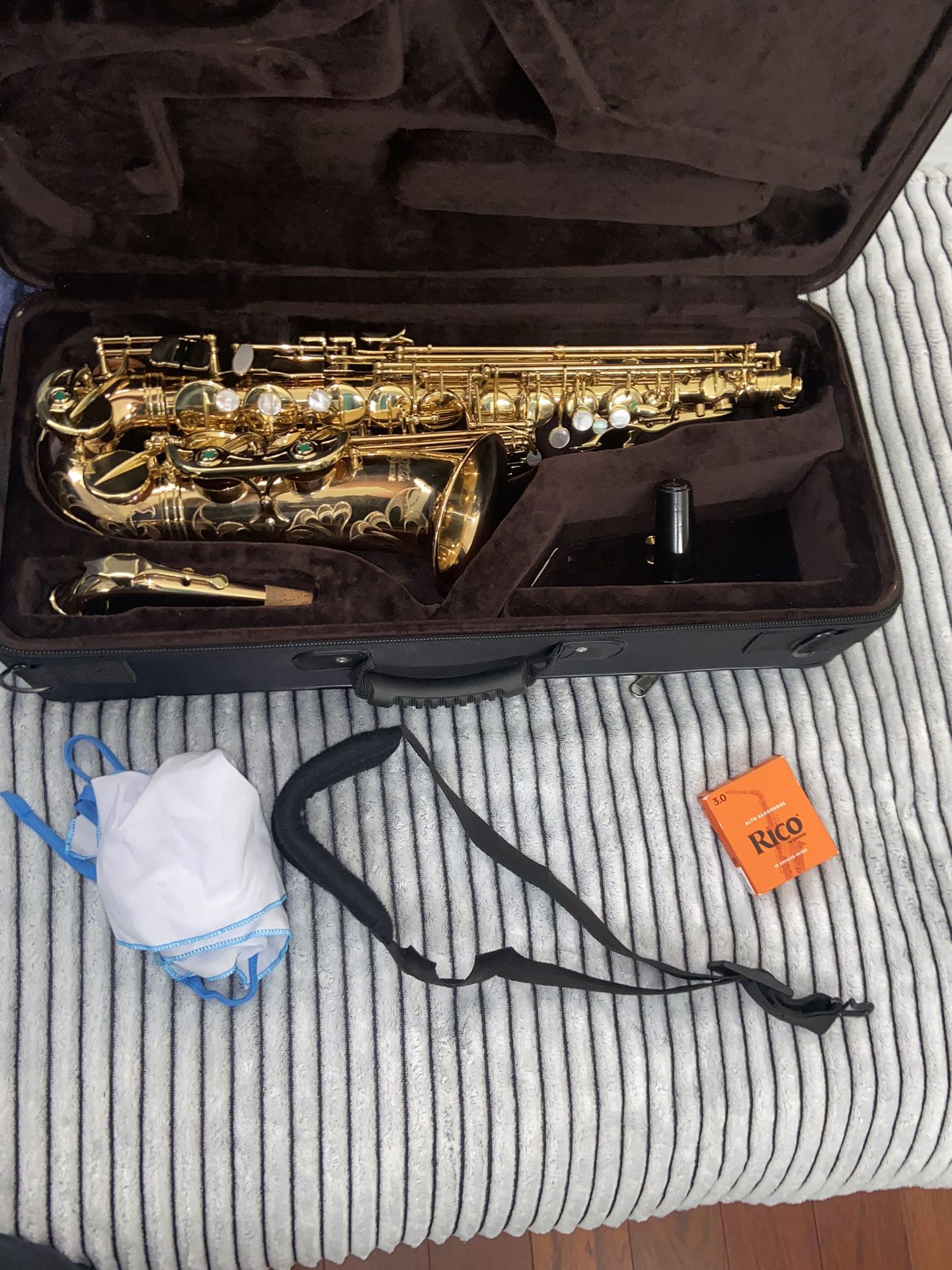 Allora Paris Series Professional Alto Saxophone AAAS-801