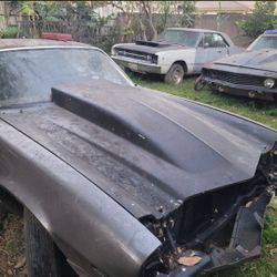 Camaro Hood