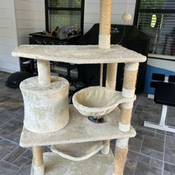 Used Cat House 