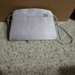 Silver Clutch Style Purse