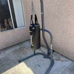 Punching bag with Stand