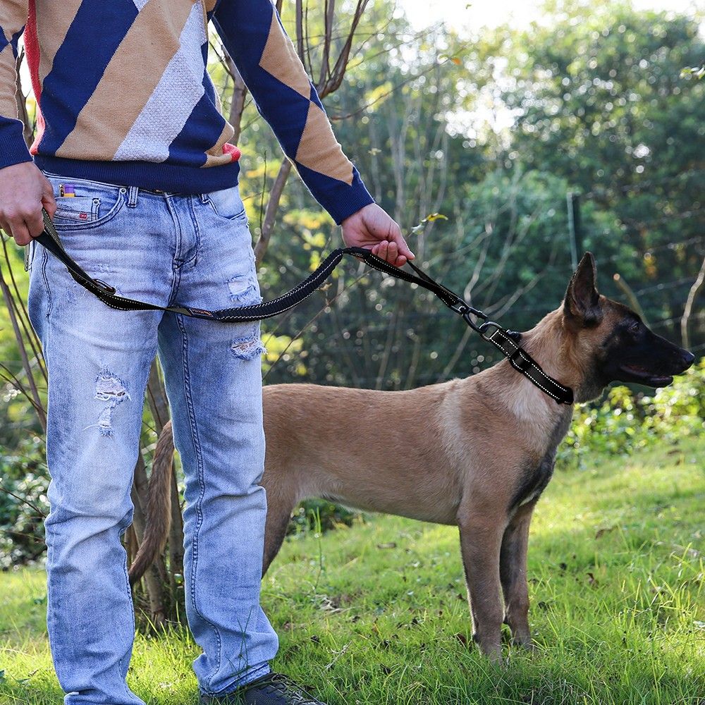 NEW!! Dog Black Bungee Leash and Collar Set