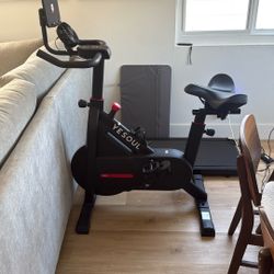 YeSoul Exercise Bike