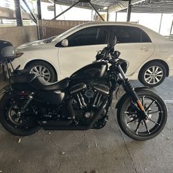 2017 Harley Davidson Iron 883