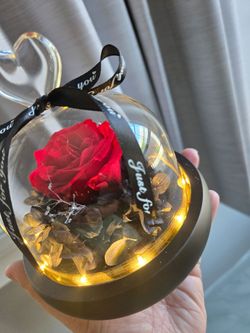 🌹 NEW Light-Up Rose Glass Dome – Never Used ✨