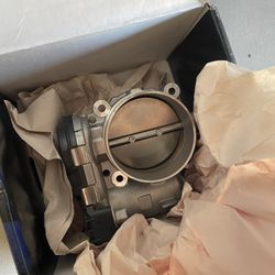 Stock Throttle Body