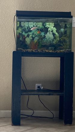 Fish tank.