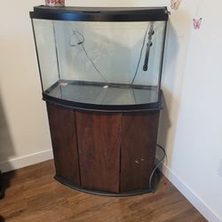 Fish Tank 