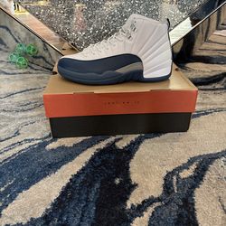 French blue Jordan 12