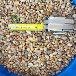 Large Aquarium Gravel / River Rock – ~100 lbs – Natural Color