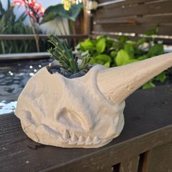 Pokemon Nidoking Succulent Pot