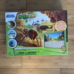 wild life giant ant farm