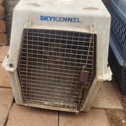 Dog Kennel 