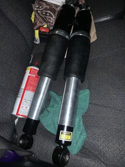 Chevy Rear Air Shocks $100