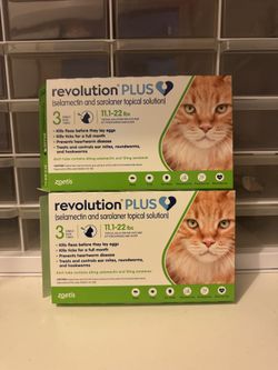 Revolution Plus For Cats