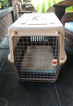 Dog crate