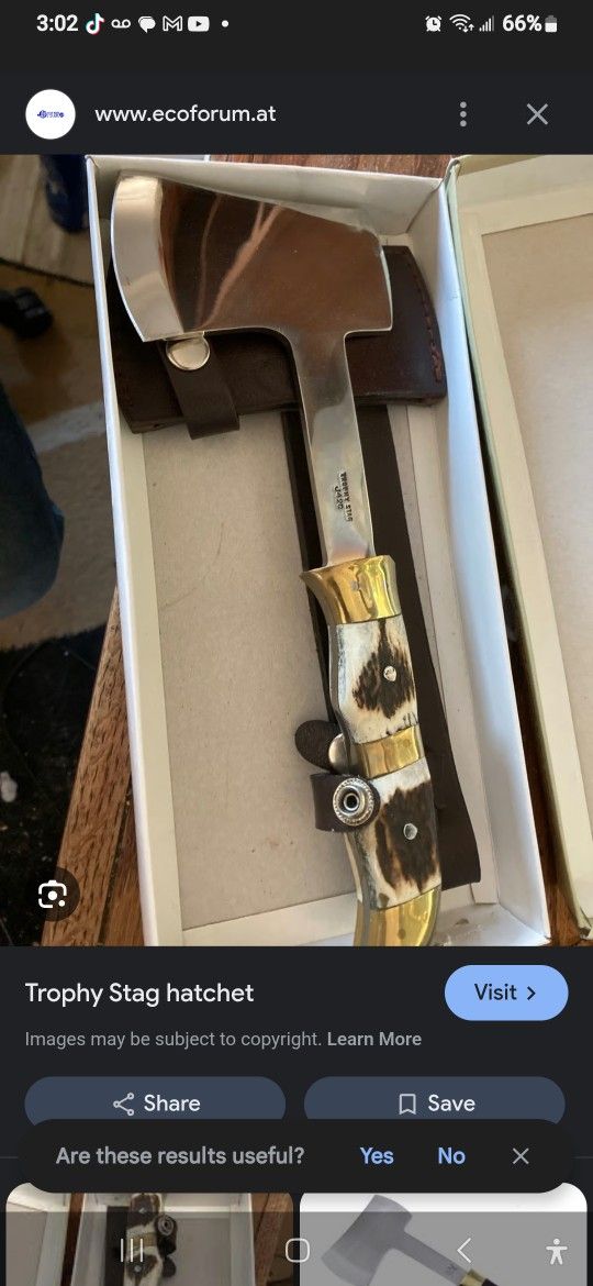 Trophy Snag